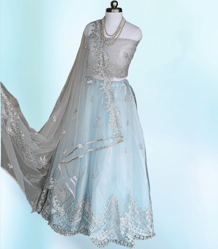 Stunning Sky Blue Net Lehenga with Thread Embroidery for Party Wear